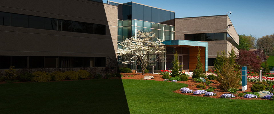 Carbondale Landscapers